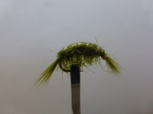 Size 18 Gammarus Weighted Olive